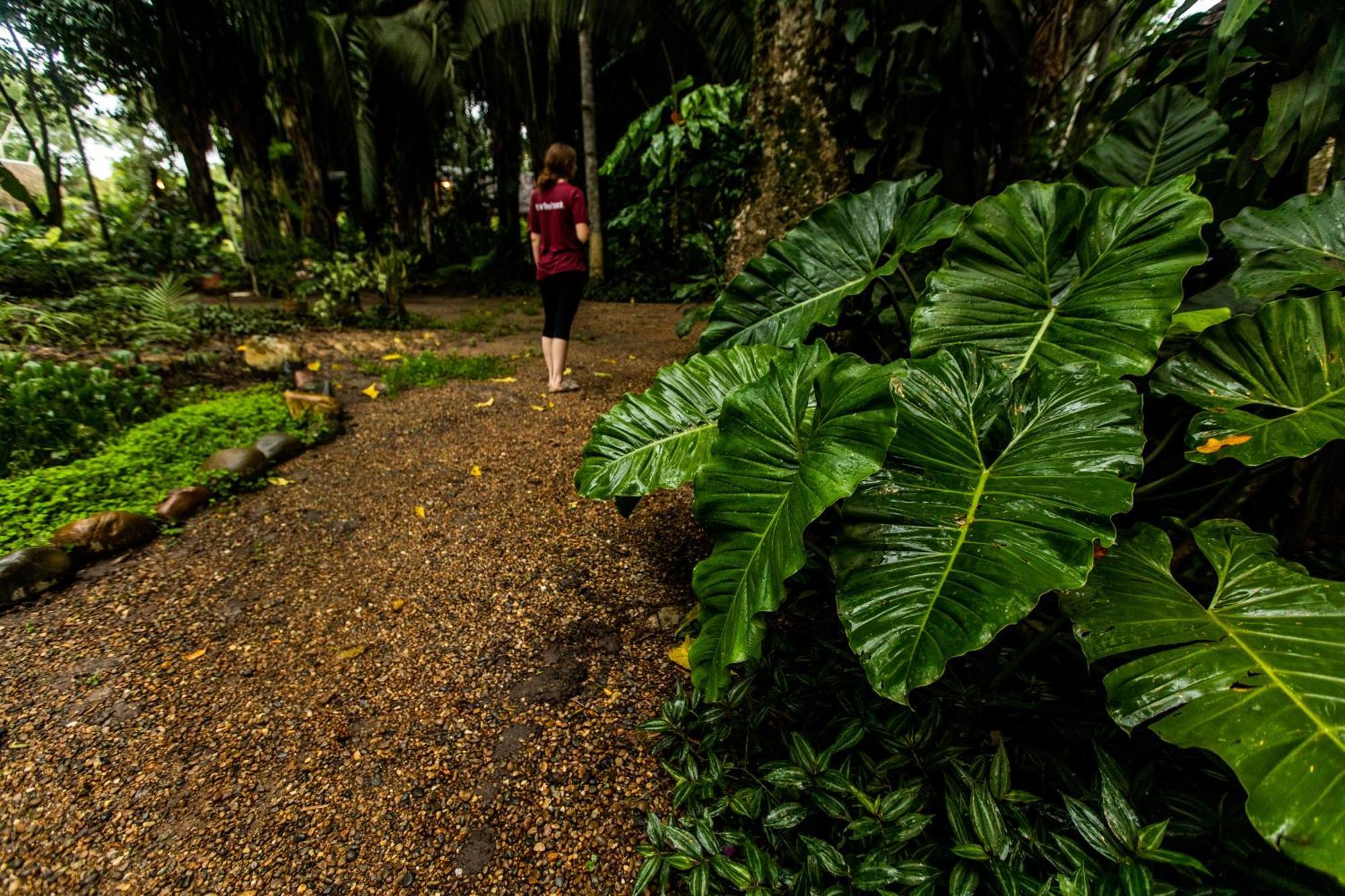 Kapievi Ecovillage Puerto Maldonado Esterno foto