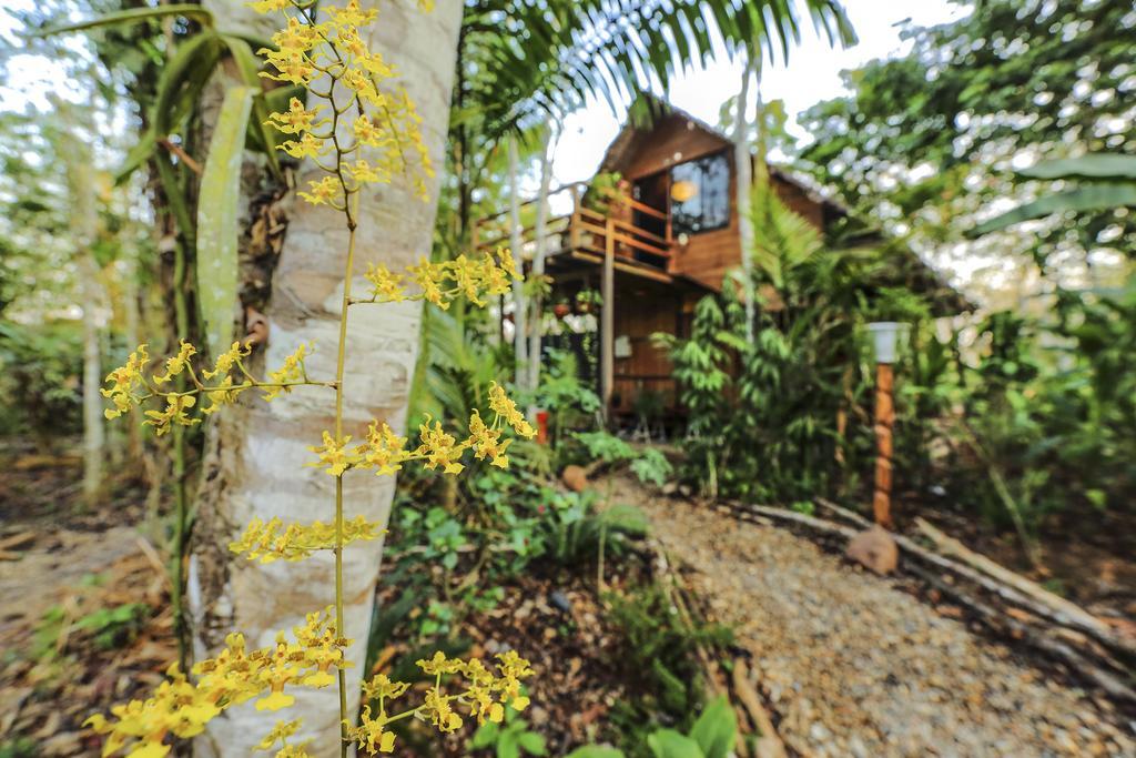 Kapievi Ecovillage Puerto Maldonado Esterno foto